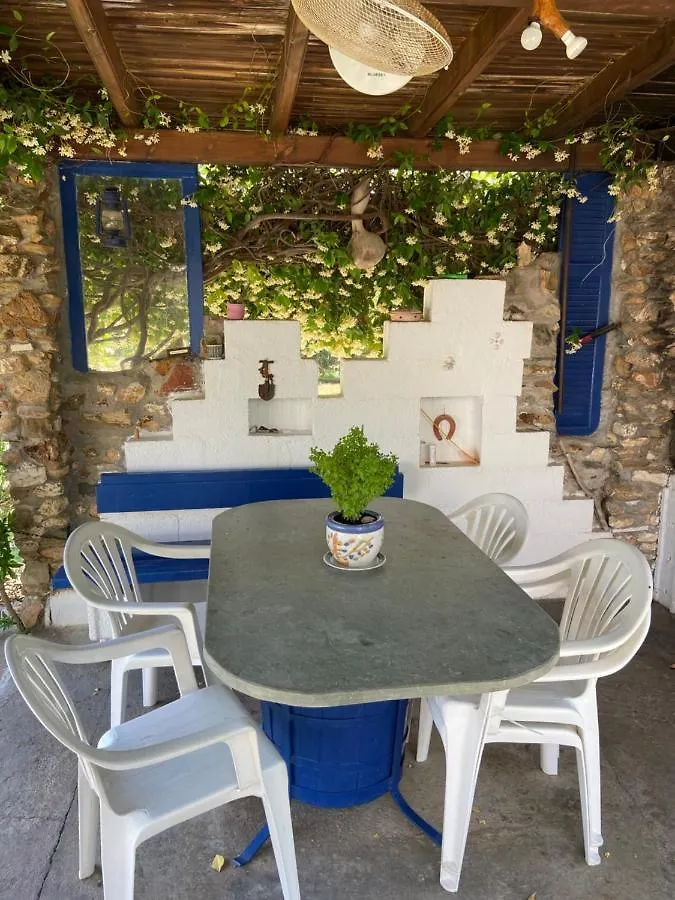 Wine & Olive Studio ゲラキニ 別荘